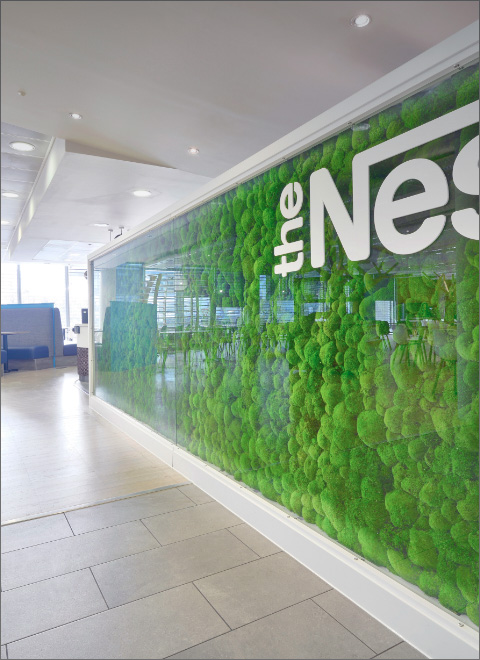 Nestle