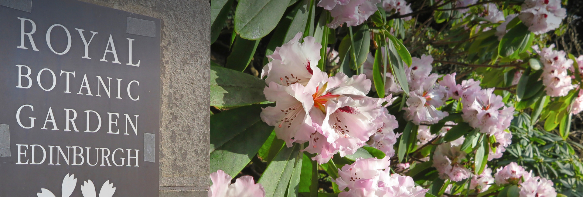 Royal Botanic Gardens