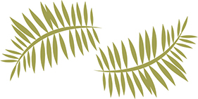 Stonehouse Background Image